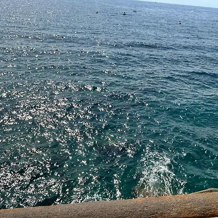 Salto Nel Blu Genoa